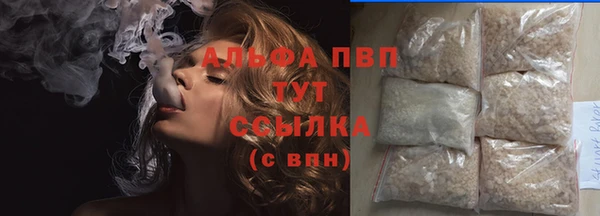 СК Гусев