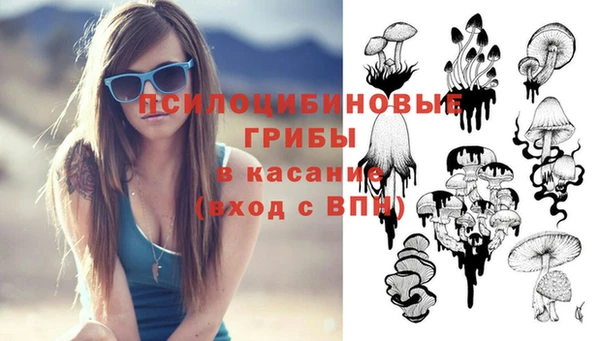твердый Гусь-Хрустальный