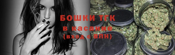 твердый Гусь-Хрустальный