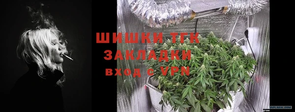 СК Гусев